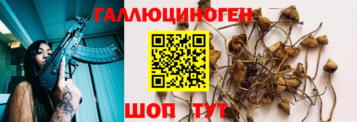 Бахчисарай  Псилоцибиновые грибы Cubensis  Вход с VPN  Псилоцибиновые грибы Psilocybine cubensis 